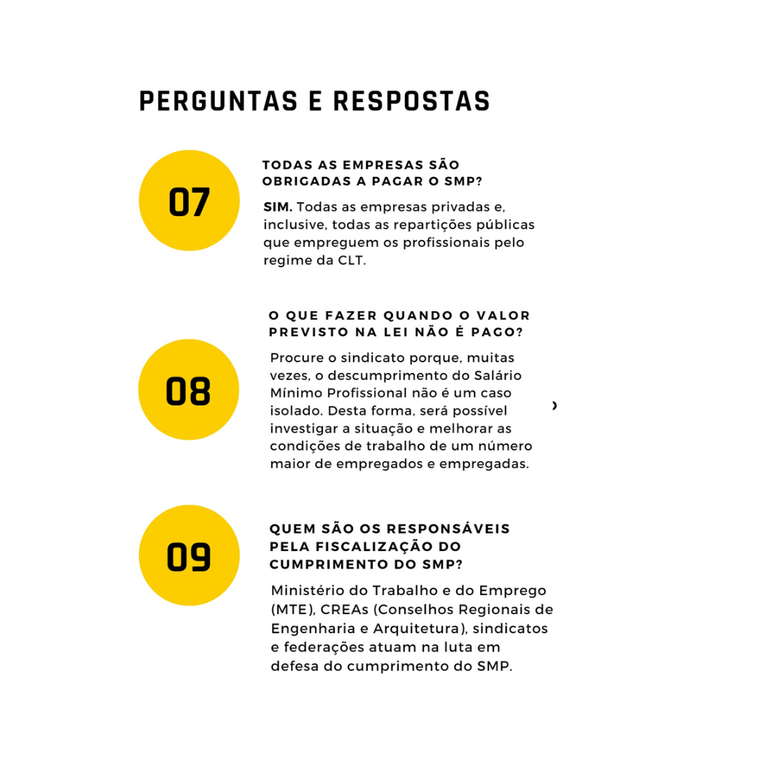 14.02 - SALARIO MINIMO PROFISSIONAL  (5).png